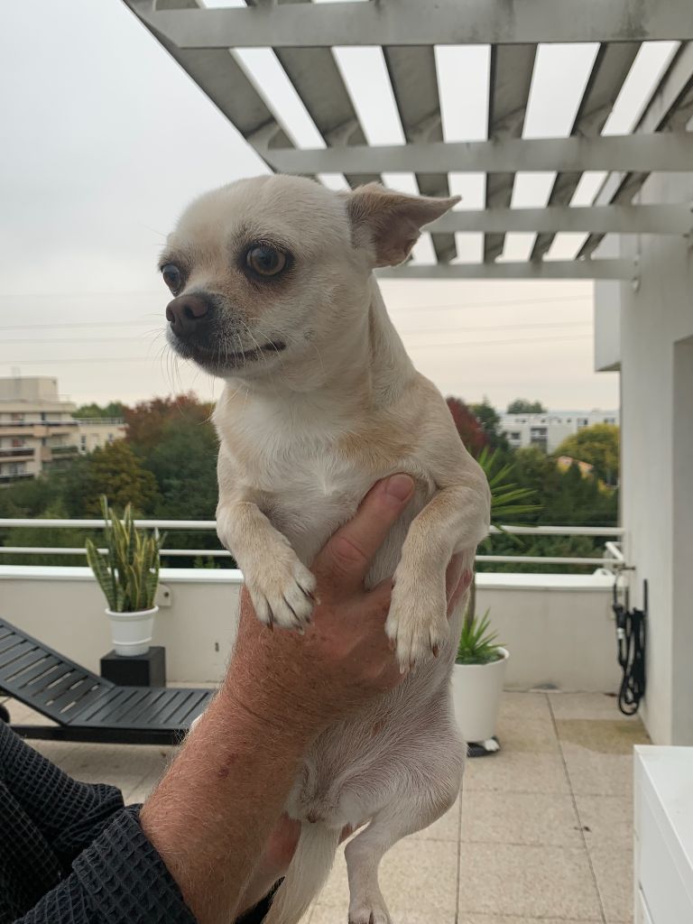 Tiphaine Du Parc Bordelais